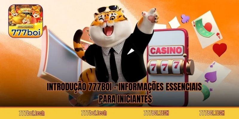 Introdução 777BOI – Informações essenciais para iniciantes