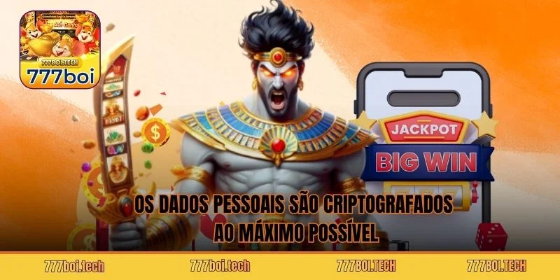 Os dados pessoais são criptografados ao máximo possível